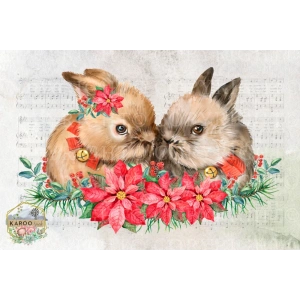 /christmas/KSFP-C001