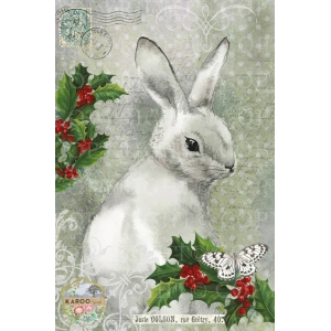 /christmas/KSFP-C012