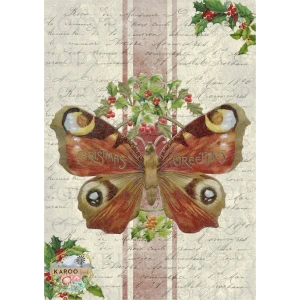 /christmas/KSFP-C020