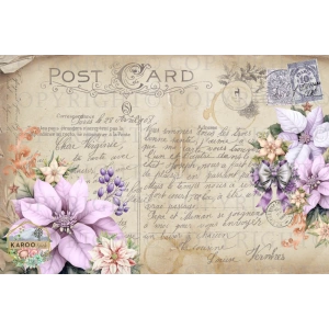 /christmas/KSFP-C031