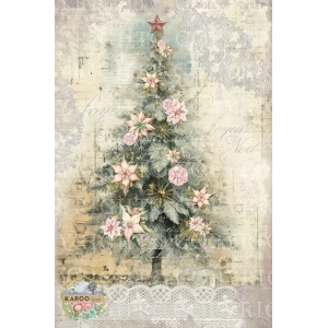 /christmas/KSFP-C032