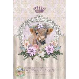 /christmas/KSFP-C034