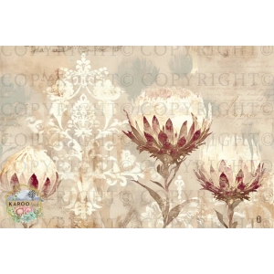 /christmas/KSFP-C036