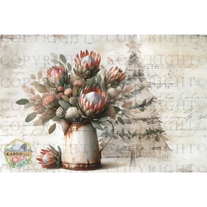 /christmas/KSFP-C037