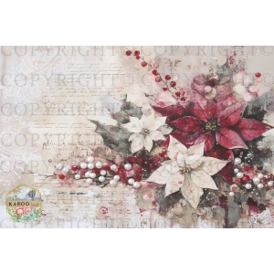 /christmas/KSFP-C043