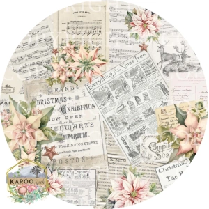 /christmas/KSFP-OC045