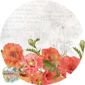 /ksdp/bins/KSFP-BL011