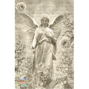 /ksdp/furniture/KS-FP029