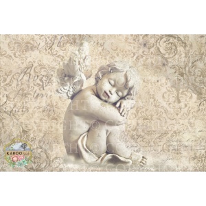 /ksdp/furniture/KS-FP060