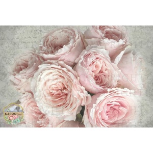 /ksdp/furniture/KS-FP191