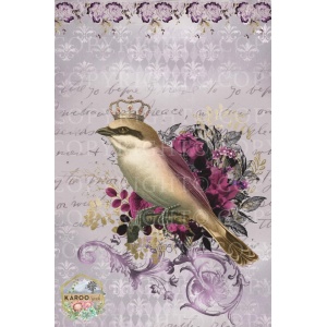 /ksdp/furniture/KS-FP192