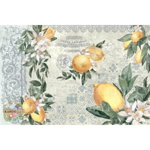 /ksdp/furniture/KS-FP202