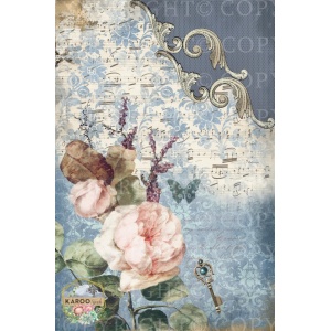 /ksdp/furniture/KS-FP222