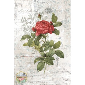 /ksdp/furniture/KS-FP229