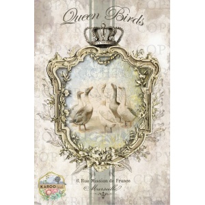 /ksdp/furniture/KS-FP260