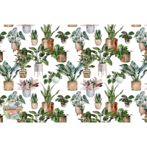 /ksdp/furniture/KS-FP261