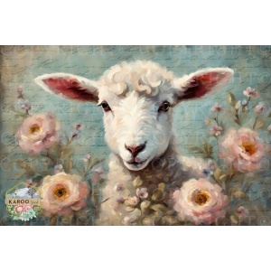 /ksdp/furniture/KS-FP294