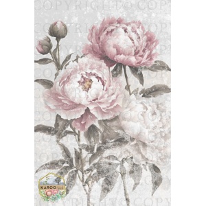 /ksdp/furniture/KS-FP297