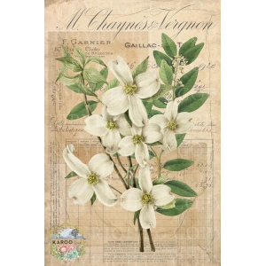 /ksdp/furniture/KS-FP353