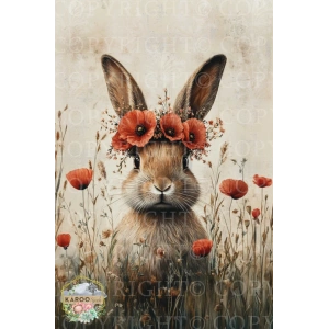 /ksdp/furniture/KS-FP381