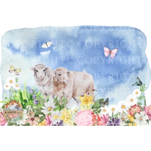 /ksdp/little-people/KS-LP014