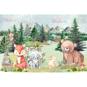 /ksdp/little-people/KS-LP015