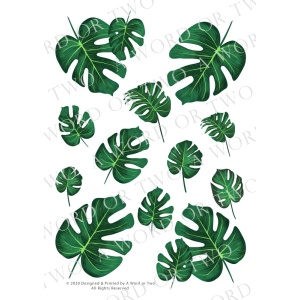 /waterslides/KS-WS004