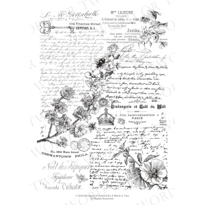 /waterslides/KS-WS024