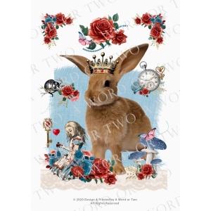 /waterslides/KS-WS035