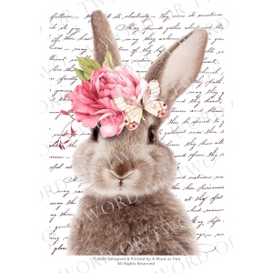 /waterslides/KS-WS041