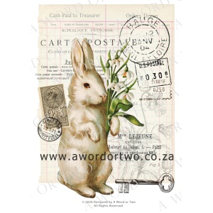 /waterslides/KS-WS042