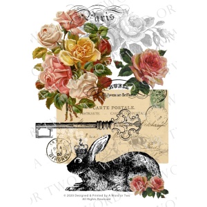 /waterslides/KS-WS043