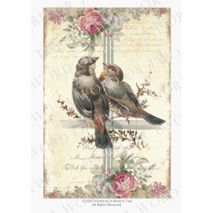 /waterslides/KS-WS046