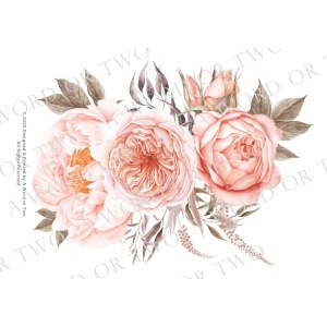 /waterslides/KS-WS047