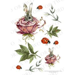 /waterslides/KS-WS048