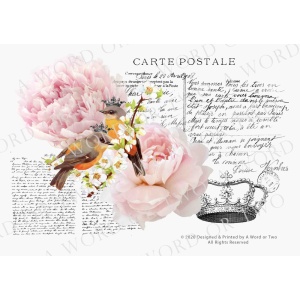 /waterslides/KS-WS049