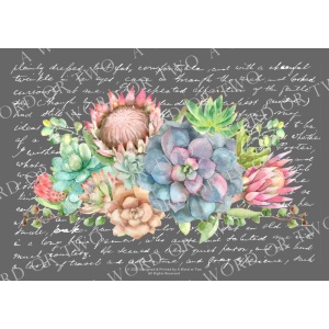 /waterslides/KS-WS057