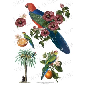 /waterslides/KS-WS062