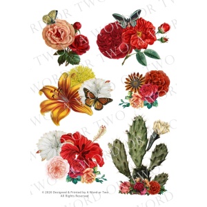 /waterslides/KS-WS066