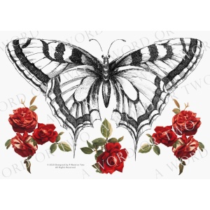 /waterslides/KS-WS072