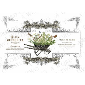 /waterslides/KS-WS077