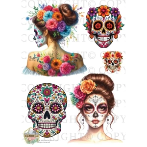 /waterslides/KS-WS086