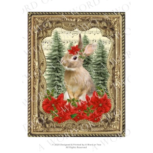 /waterslides/KS-WS096