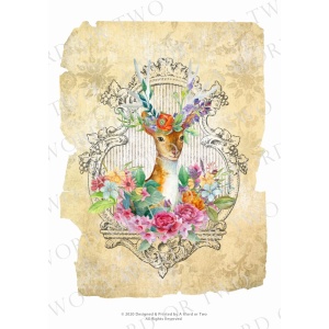 /waterslides/KS-WS098