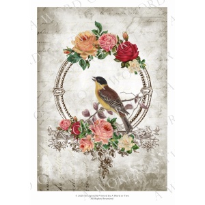 /waterslides/KS-WS102