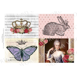 /waterslides/KS-WS127