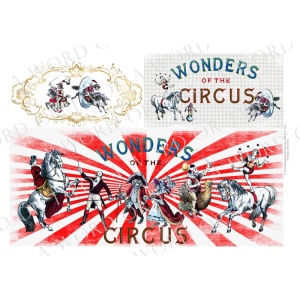 /waterslides/KS-WS142C