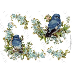 /waterslides/KS-WS146