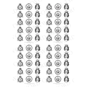 /waterslides/KS-WS177