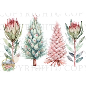 /waterslides/KS-WS181